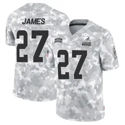 Cleveland Browns Youth Limited Arctic Camo 2024 Salute to Service Jersey (27 LaMareon James)
