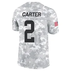 Cleveland Browns Youth Limited Arctic Camo 2024 Salute to Service Jersey (2 DeAndre Carter)